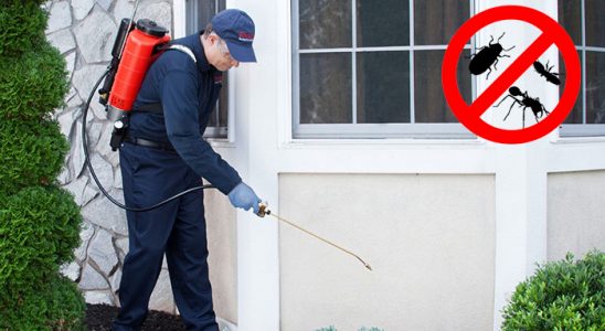 Çine Dezenfeksiyon böcek ilaçlama ve haşere kontrolü — ilaclama-tr.com